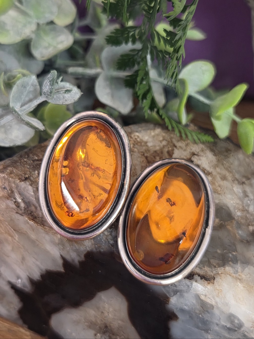 Stunning Huge Genuine Amber Sterling Silver Omega Back Earrings